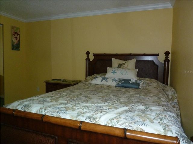 807 JACARANDA DRIVE, Oldsmar, FL 34677