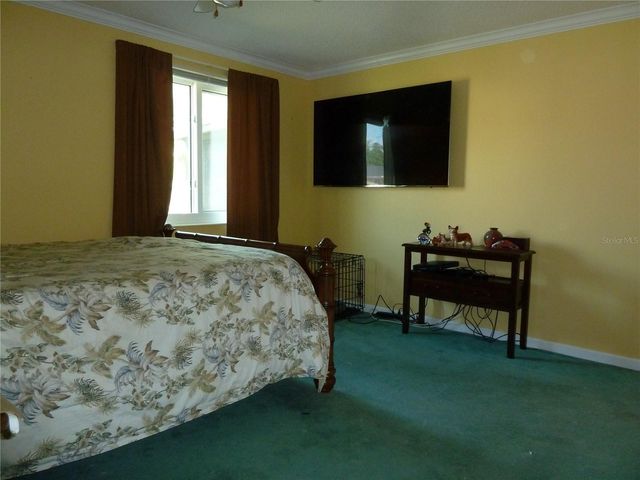 807 JACARANDA DRIVE, Oldsmar, FL 34677