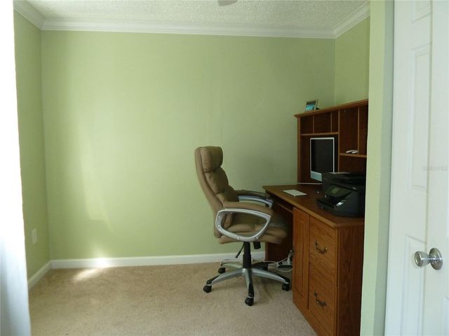 807 JACARANDA DRIVE, Oldsmar, FL 34677