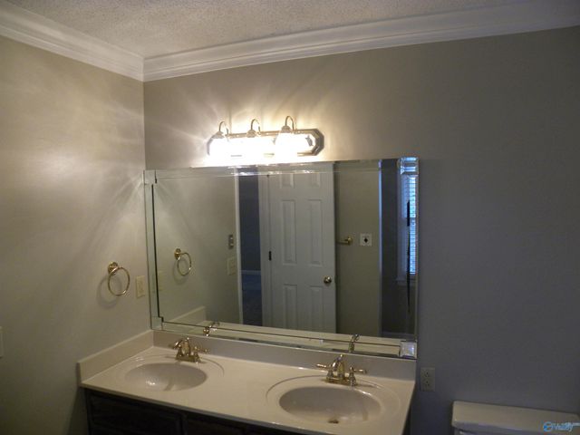 102 West Lake Circle, Madison, AL 35758