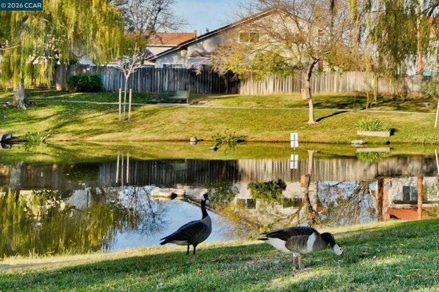 1284 Pinecrest Dr, Concord, CA 94521