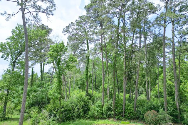 0 Roanoke Drive, Conroe, TX 77302