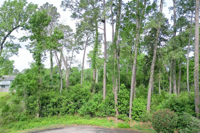 0 Roanoke Drive, Conroe, TX 77302