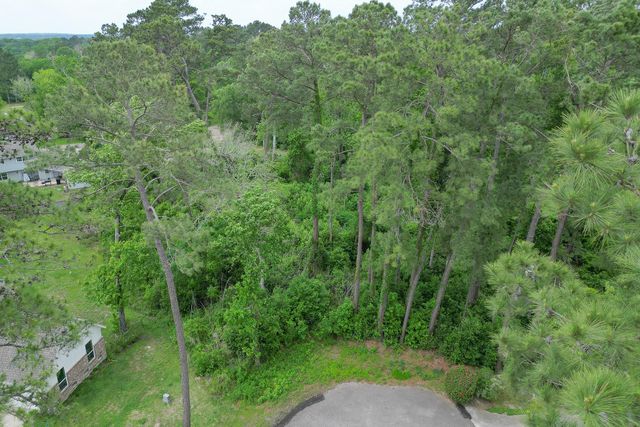 0 Roanoke Drive, Conroe, TX 77302