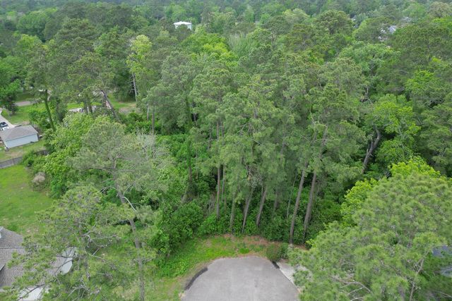 0 Roanoke Drive, Conroe, TX 77302