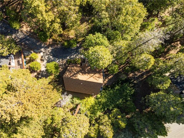 385 Birchwood Drive, Lake Arrowhead, CA 92352