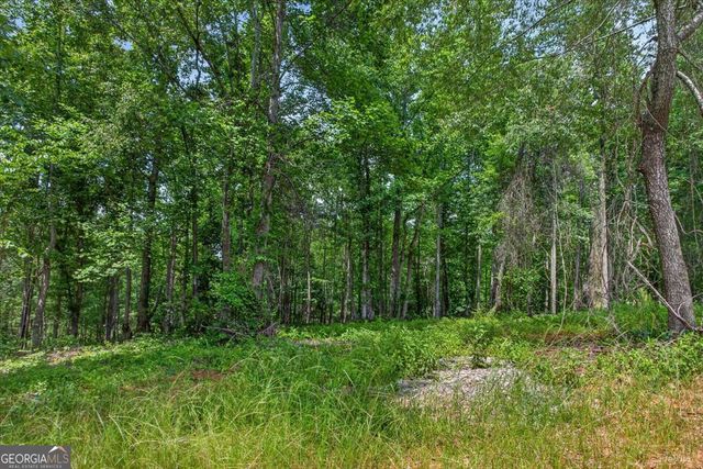 0 Conns Creek Road 1, Ball Ground, GA 30107
