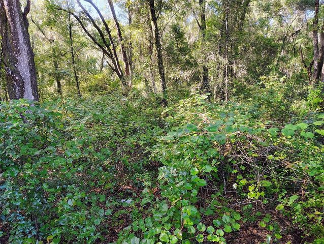 SW 158TH LANE, Dunnellon, FL 34432
