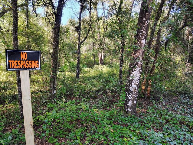 SW 158TH LANE, Dunnellon, FL 34432
