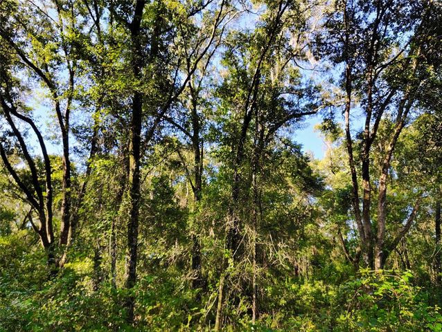 SW 158TH LANE, Dunnellon, FL 34432