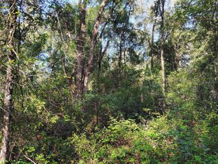 SW 158TH LANE, Dunnellon, FL 34432