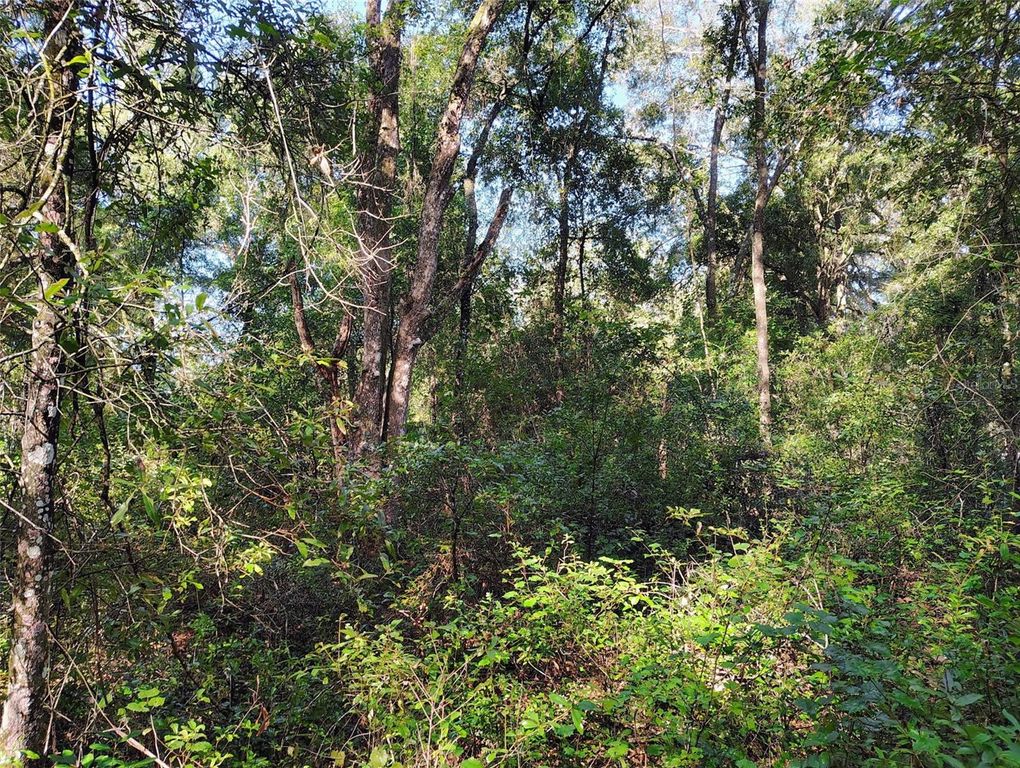 SW 158TH LANE, Dunnellon, FL 34432