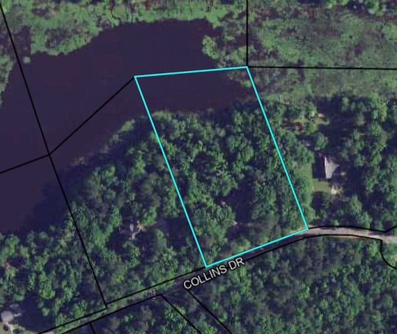 41 Collins Drive, Box Springs, GA 31801