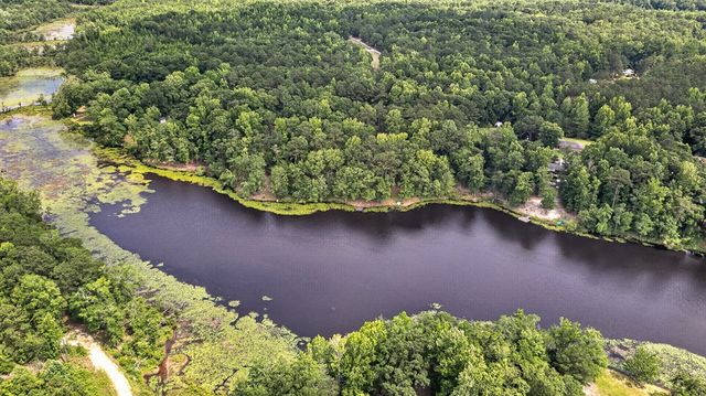 41 Collins Drive, Box Springs, GA 31801