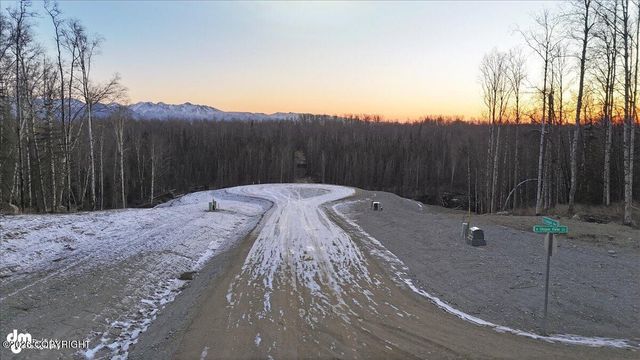 1143 N Leseman Way, Wasilla, AK 99623