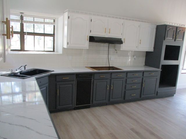 1215 SPRING LAKE Drive, Duncanville, TX 75137