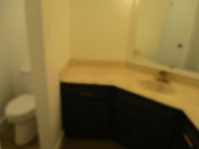 1215 SPRING LAKE Drive, Duncanville, TX 75137