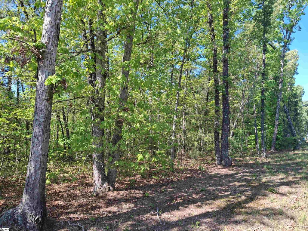 523 Flat Shoals Road, Walhalla, SC 29691
