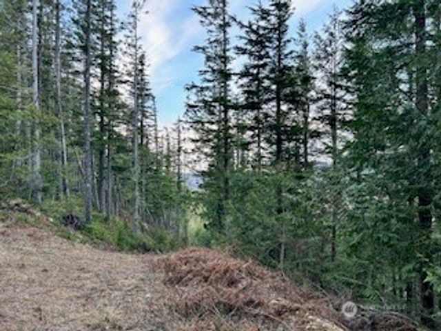 0 Vacant Land 343rd Avenue SE, Ravensdale, WA 98051
