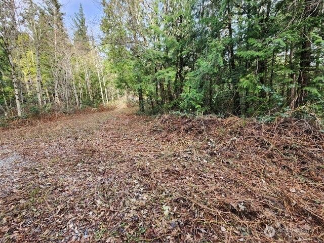 0 Vacant Land 343rd Avenue SE, Ravensdale, WA 98051
