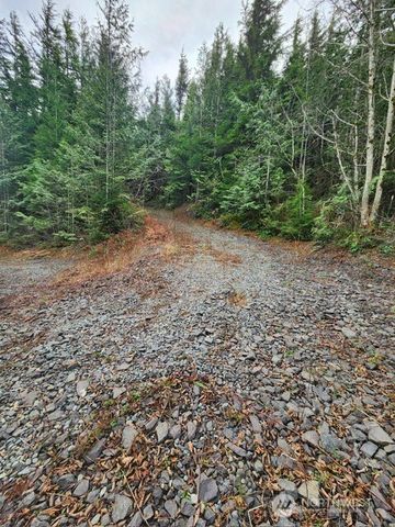 0 Vacant Land 343rd Avenue SE, Ravensdale, WA 98051