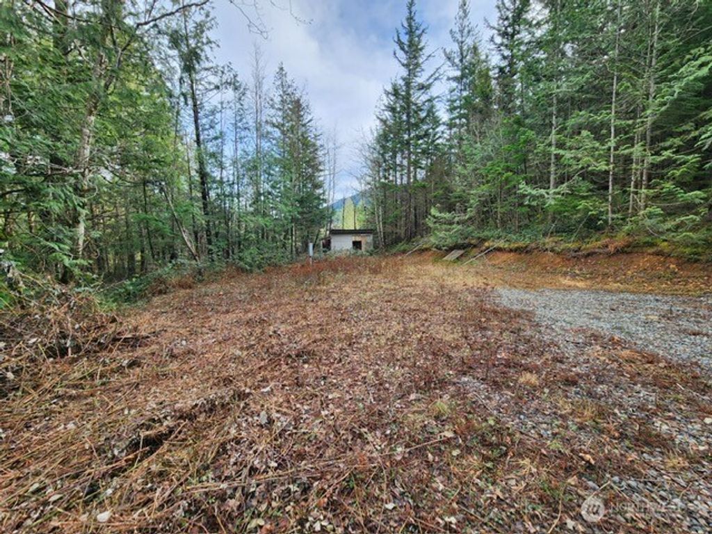 0 Vacant Land 343rd Avenue SE, Ravensdale, WA 98051