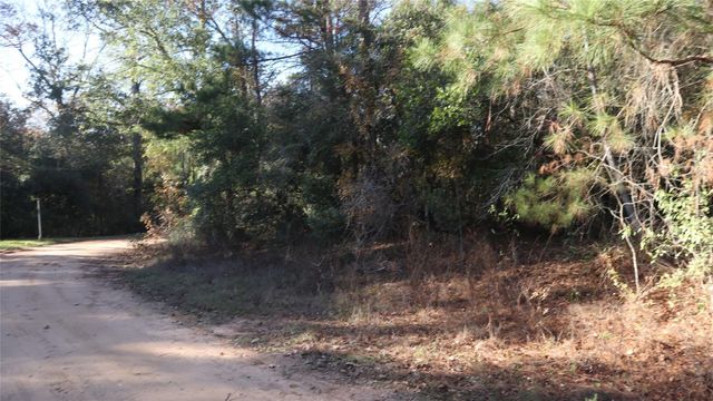 0 Mallard Drive, Coldspring, TX 77331