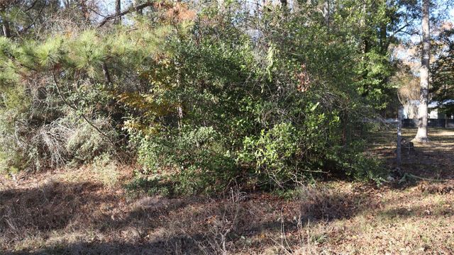 0 Mallard Drive, Coldspring, TX 77331