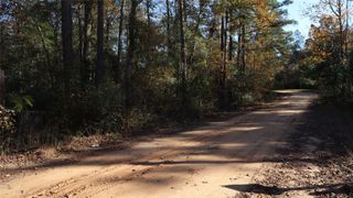 0 Mallard Drive, Coldspring, TX 77331