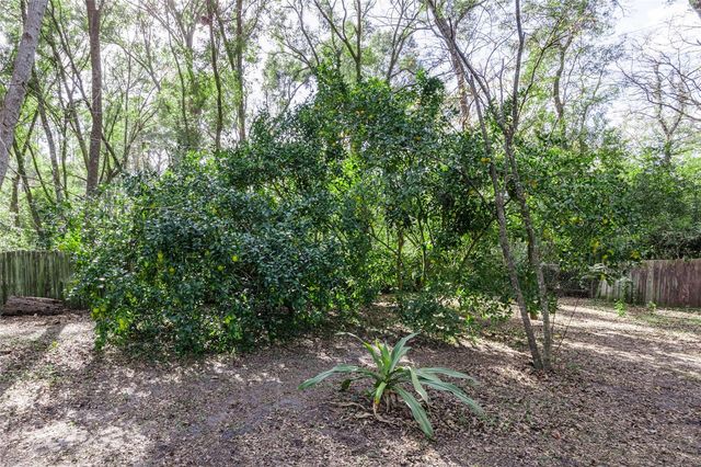 116 SW 123RD STREET, Newberry, FL 32669