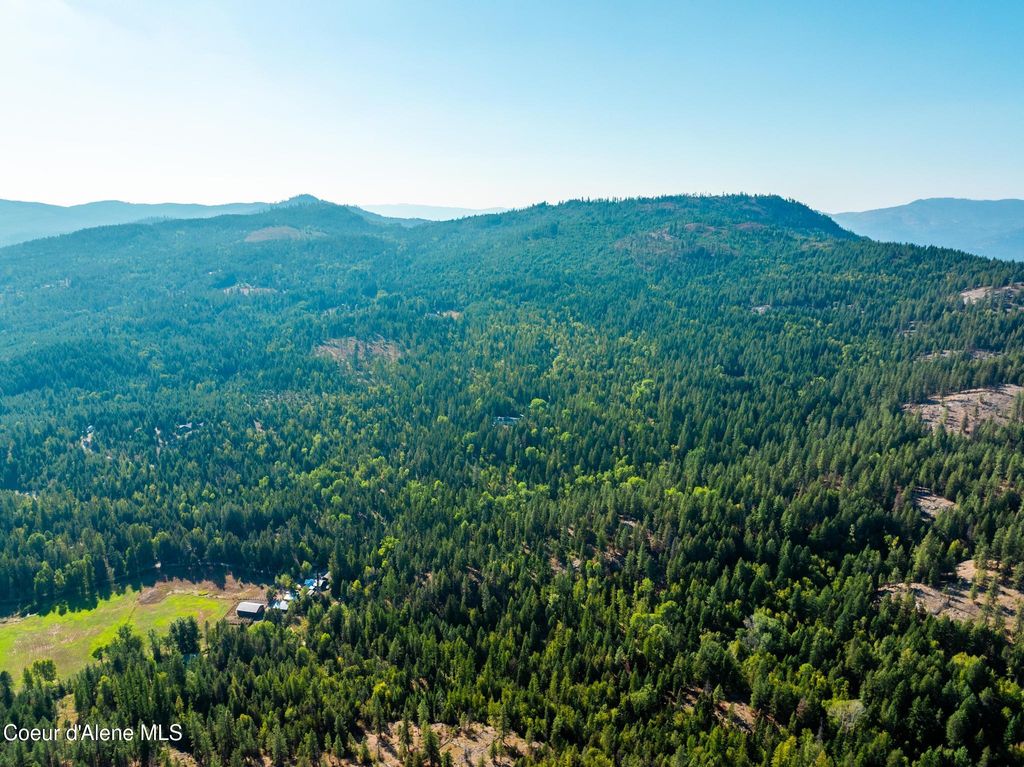 299 OAK TERRACE CREEK, Cocolalla, ID 83813 photo 77