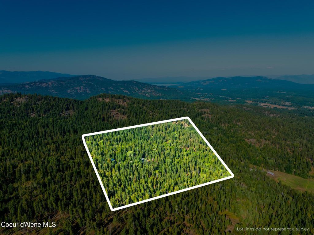 299 OAK TERRACE CREEK, Cocolalla, ID 83813 photo 88