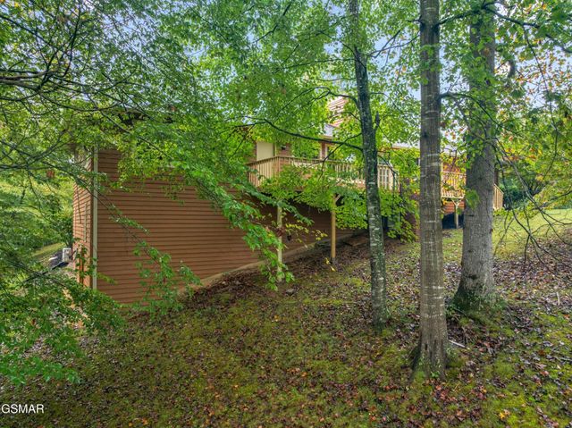 3320 Hazelwood Court, Baneberry, TN 37890