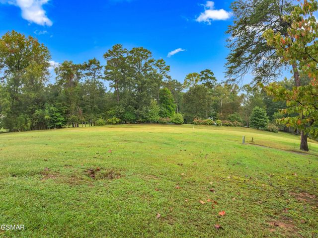 3320 Hazelwood Court, Baneberry, TN 37890
