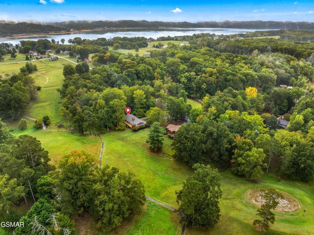 3320 Hazelwood Court, Baneberry, TN 37890