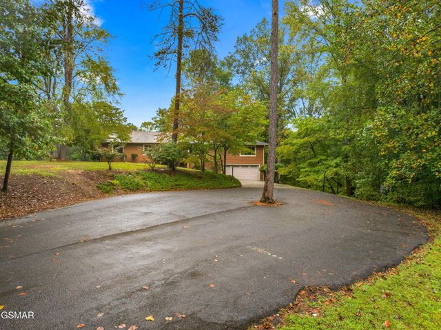3320 Hazelwood Court, Baneberry, TN 37890