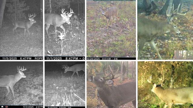 N8510 Fish Road, New Lisbon, WI 53950