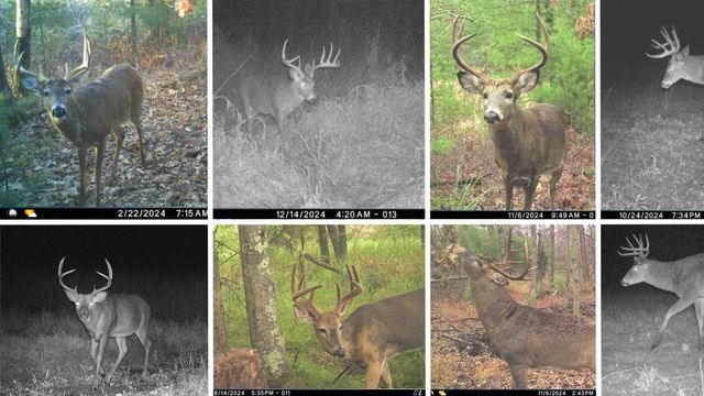 N8510 Fish Road, New Lisbon, WI 53950