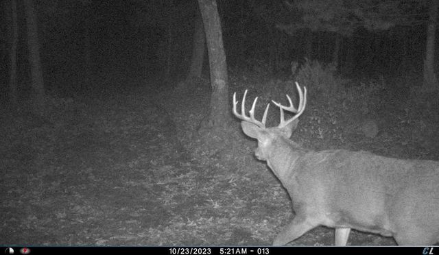 N8510 Fish Road, New Lisbon, WI 53950