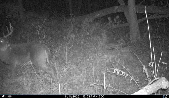 N8510 Fish Road, New Lisbon, WI 53950