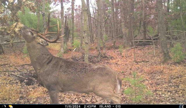 N8510 Fish Road, New Lisbon, WI 53950