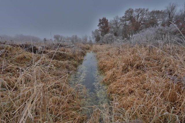 N8510 Fish Road, New Lisbon, WI 53950