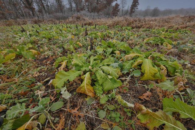 N8510 Fish Road, New Lisbon, WI 53950