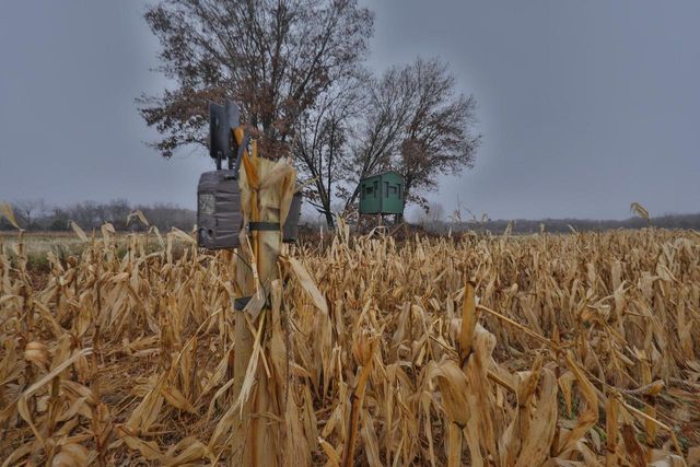 N8510 Fish Road, New Lisbon, WI 53950