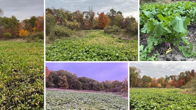 N8510 Fish Road, New Lisbon, WI 53950