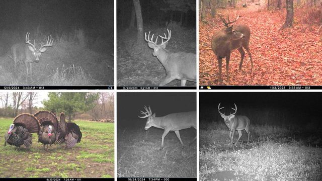 N8510 Fish Road, New Lisbon, WI 53950