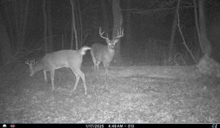 N8510 Fish Road, New Lisbon, WI 53950