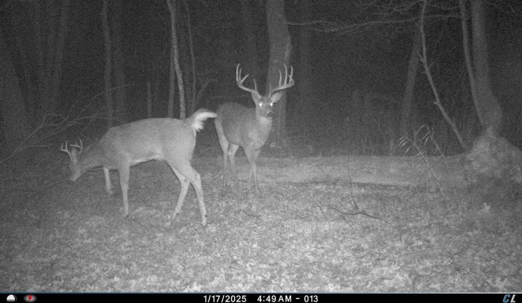 N8510 Fish Road, New Lisbon, WI 53950