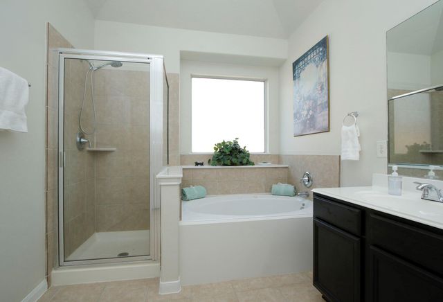 10018 Blissfull Valley Lane, Tomball, TX 77375