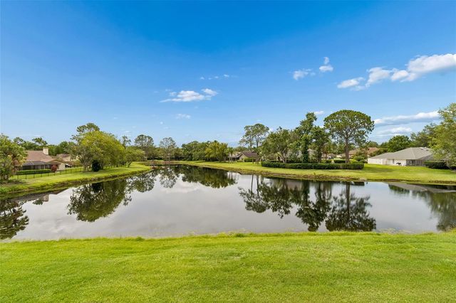 14040 TROUVILLE DRIVE, Tampa, FL 33624